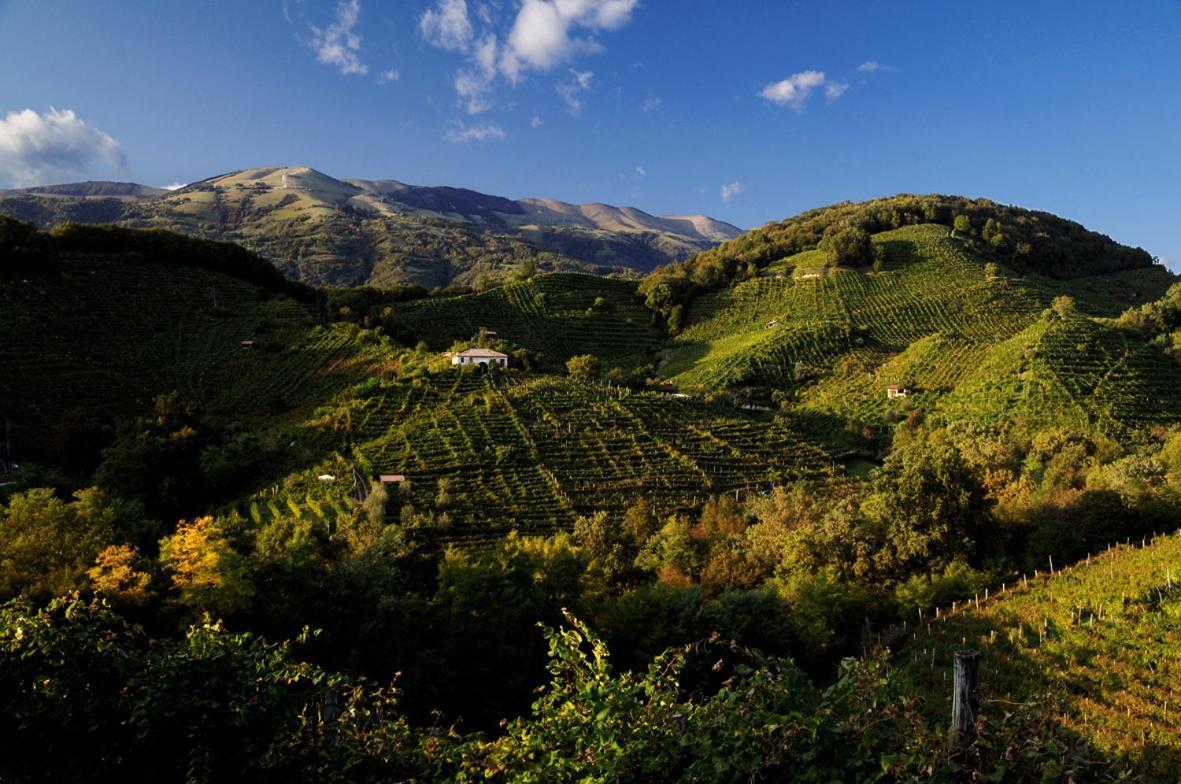 I Giardini Segreti Di Villa Marcello Marinelli Cison di Valmarino Exterior photo